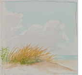 Watercolor painting of ocean grass by David Guillemette.